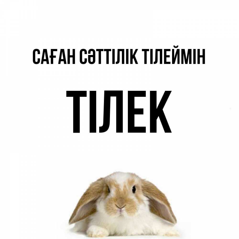 Күн сайын ашық хат с именем, ТІЛЕК Саған сәттілік тілеймін открытки с произвольным текстом который можно вставить в открытку и создать ее самостоятельно бесплатно онлайн Онлайн тегін жүктеп алу тілектері бар керемет карта 