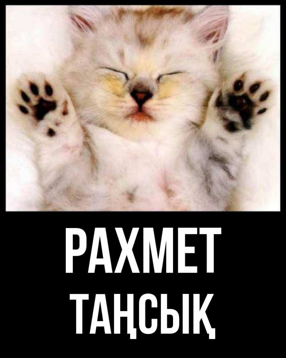 Күн сайын ашық хат с именем, ТАҢСЫҚ рахмет маленький котенок Онлайн тегін жүктеп алу тілектері бар керемет карта 