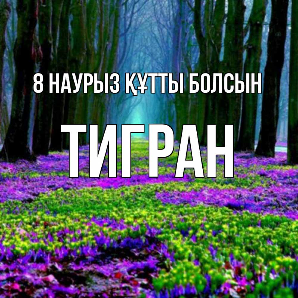 Күн сайын ашық хат с именем, Тигран 8 наурыз құтты болсын фиолетовые цветы в лесу 1 Онлайн тегін жүктеп алу тілектері бар керемет карта 