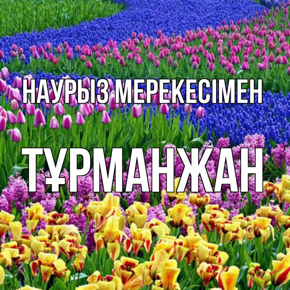 Күн сайын ашық хат с именем, ТҰРМАНЖАН Наурыз мерекесімен цветы Онлайн тегін жүктеп алу тілектері бар керемет карта 