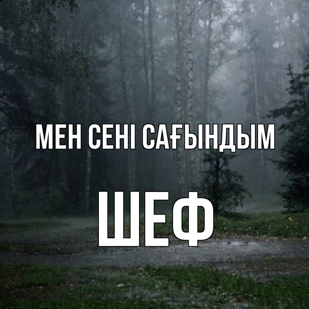 Күн сайын ашық хат с именем, Шеф Мен сені сағындым одна и плохо мне Онлайн тегін жүктеп алу тілектері бар керемет карта 