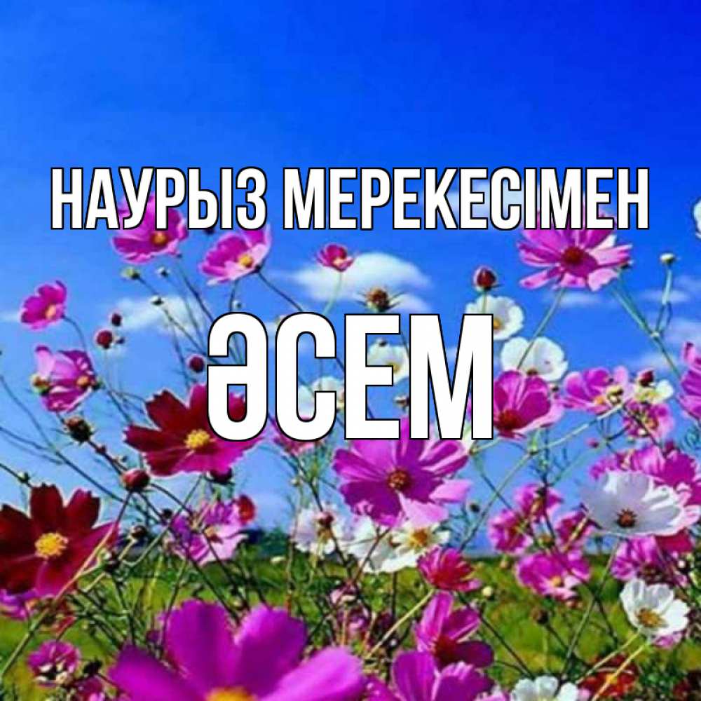 Күн сайын ашық хат с именем, ӘСЕМ Наурыз мерекесімен цветы Онлайн тегін жүктеп алу тілектері бар керемет карта 