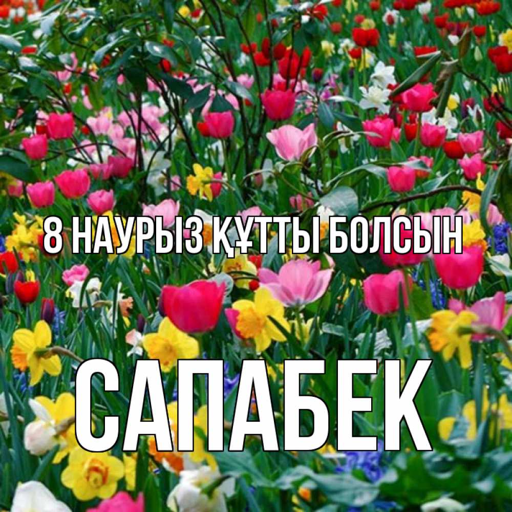 Күн сайын ашық хат с именем, САПАБЕК 8 наурыз құтты болсын с международным женским днем поздравления для женщины Онлайн тегін жүктеп алу тілектері бар керемет карта 