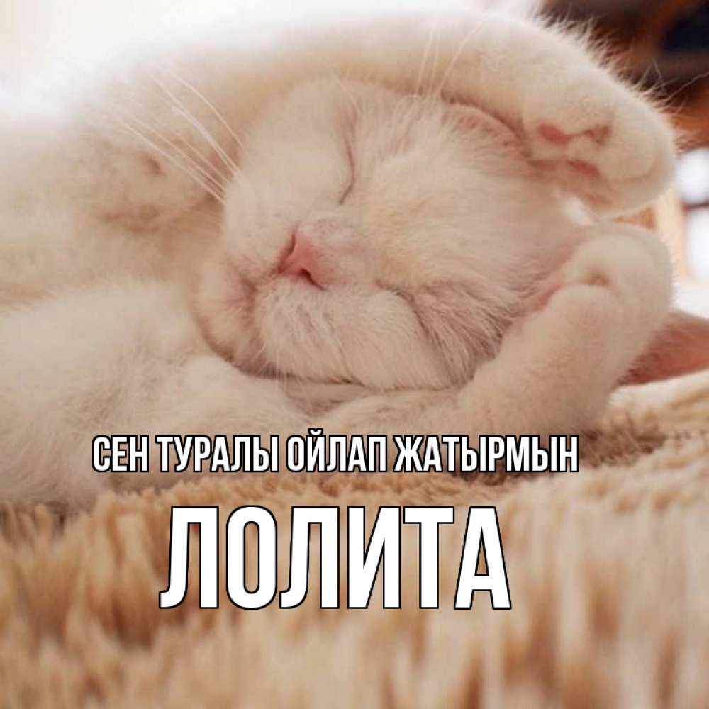 Күн сайын ашық хат с именем, Лолита Сен туралы ойлап жатырмын для любимой девушки милота Онлайн тегін жүктеп алу тілектері бар керемет карта 