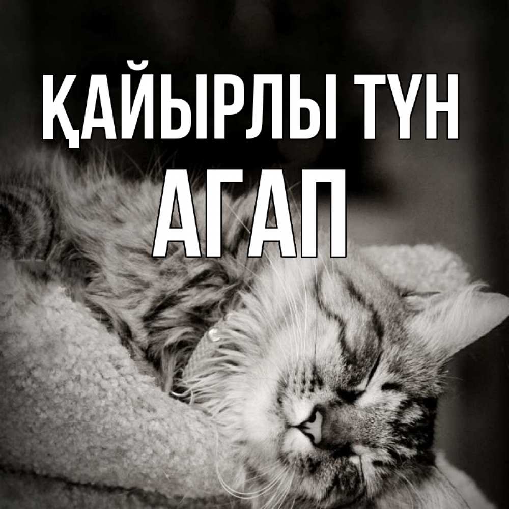 Күн сайын ашық хат с именем, Агап Қайырлы түн котярик пушистый Онлайн тегін жүктеп алу тілектері бар керемет карта 