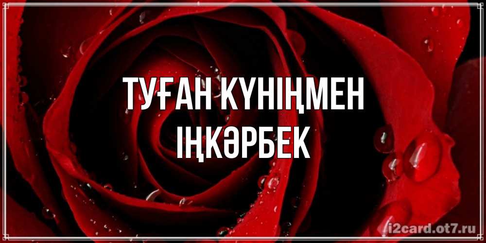 Күн сайын ашық хат с именем, ІҢКӘРБЕК Туған күніңмен крупная бордовая роза Онлайн тегін жүктеп алу тілектері бар керемет карта 