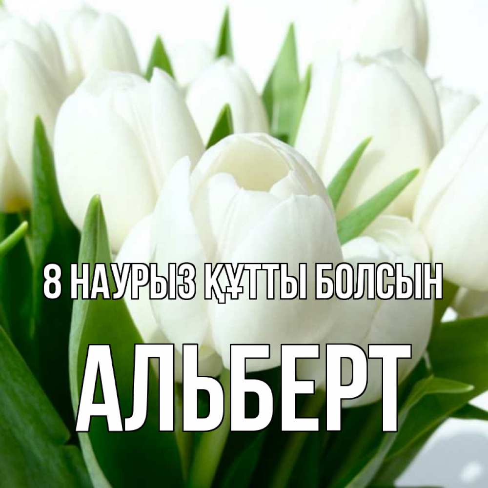 Күн сайын ашық хат с именем, Альберт 8 наурыз құтты болсын цветы Онлайн тегін жүктеп алу тілектері бар керемет карта 