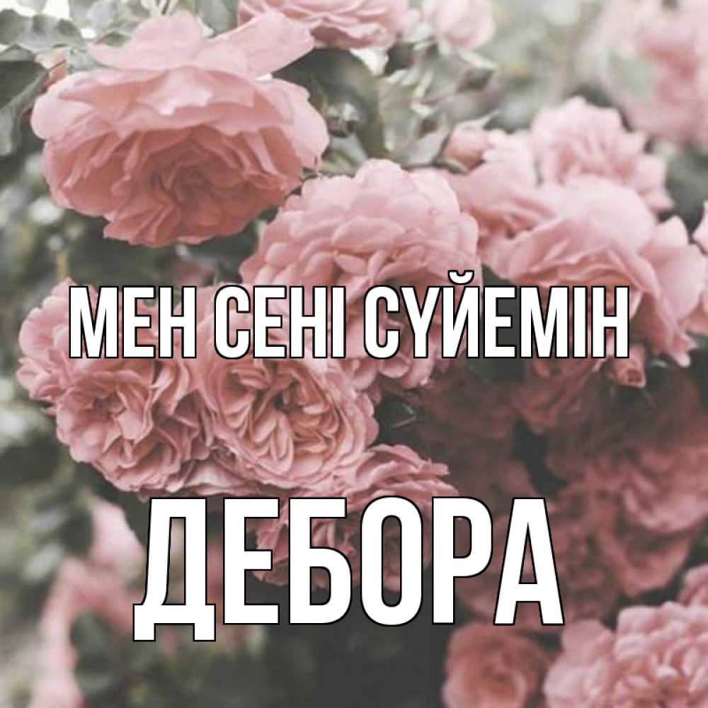 Күн сайын ашық хат с именем, Дебора Мен сені сүйемін розы 3 Онлайн тегін жүктеп алу тілектері бар керемет карта 
