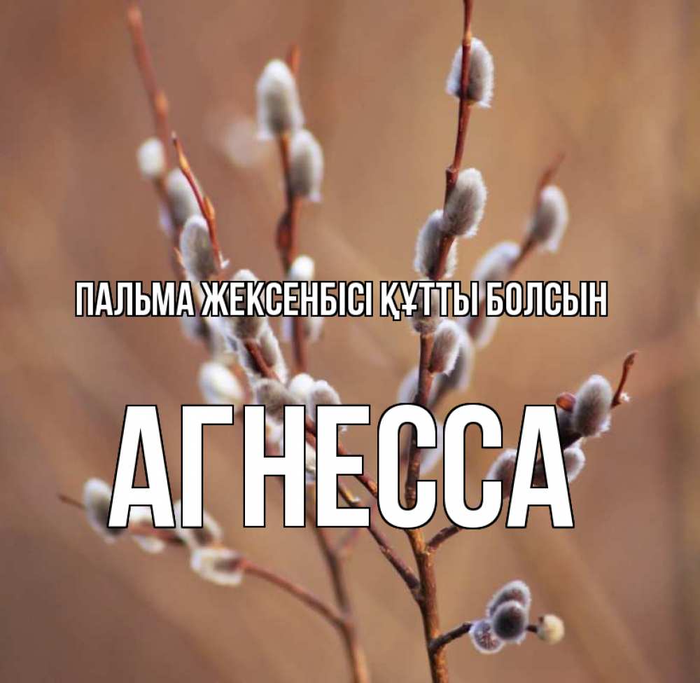 Күн сайын ашық хат с именем, Агнесса Пальма жексенбісі құтты болсын верба Онлайн тегін жүктеп алу тілектері бар керемет карта 