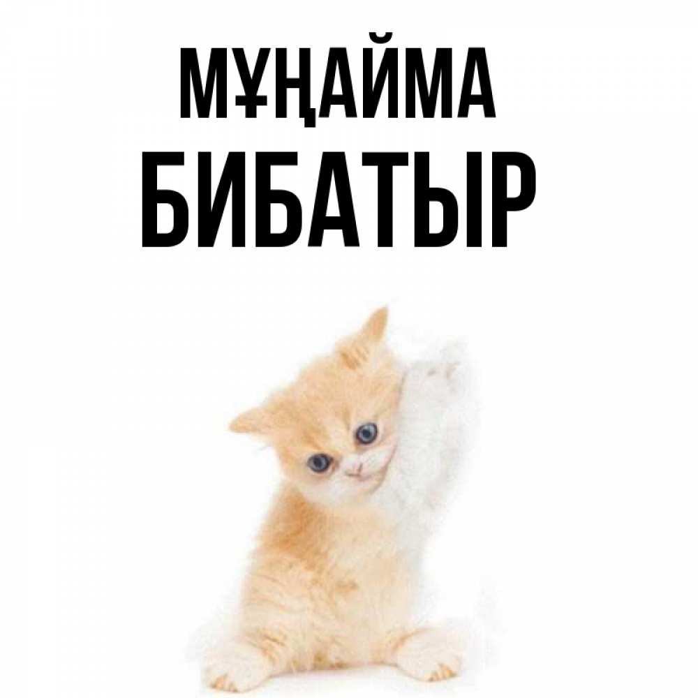 Күн сайын ашық хат с именем, Бибатыр Мұңайма просящий кот Онлайн тегін жүктеп алу тілектері бар керемет карта 
