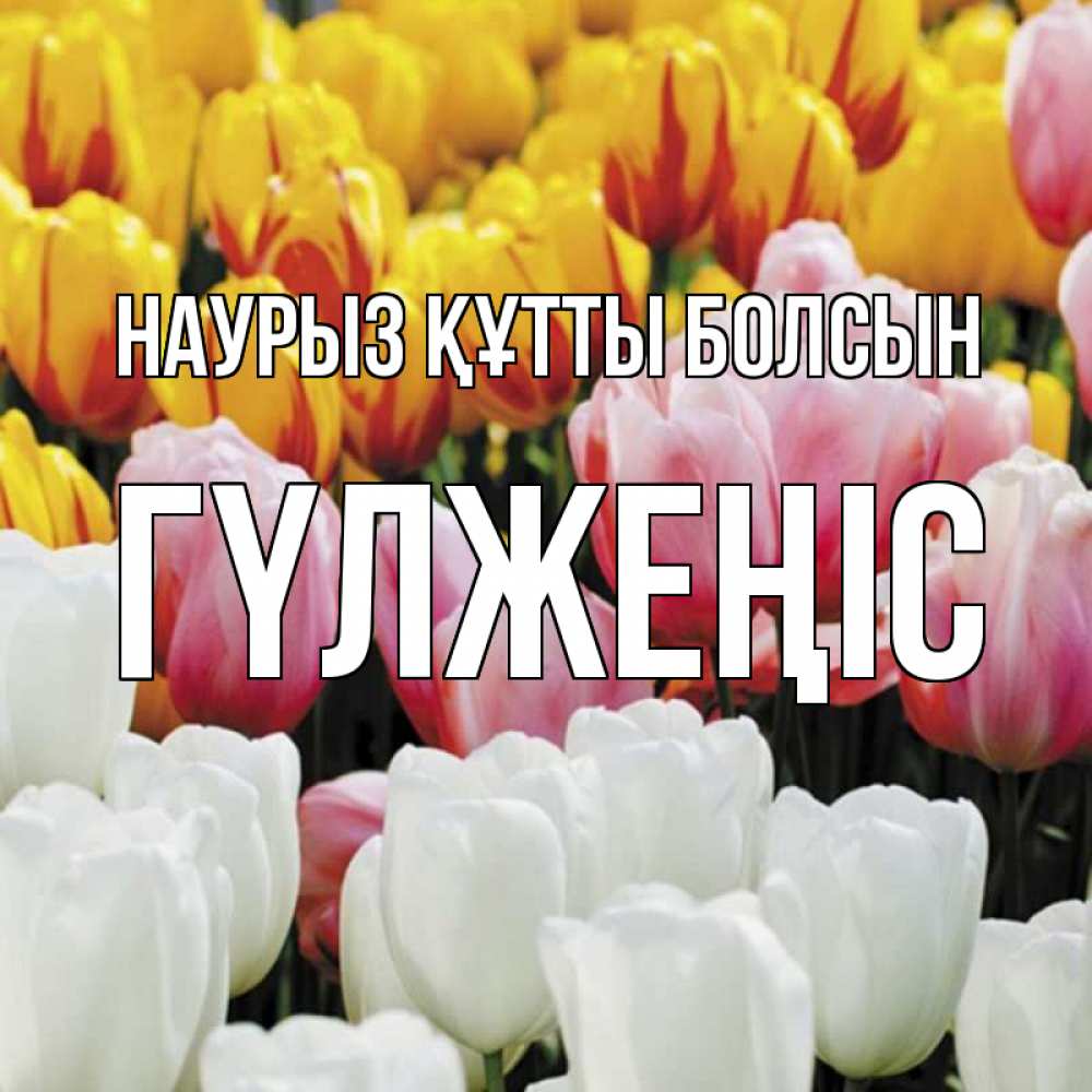 Күн сайын ашық хат с именем, ГҮЛЖЕҢІС Наурыз құтты болсын разноцветные цветы Онлайн тегін жүктеп алу тілектері бар керемет карта 