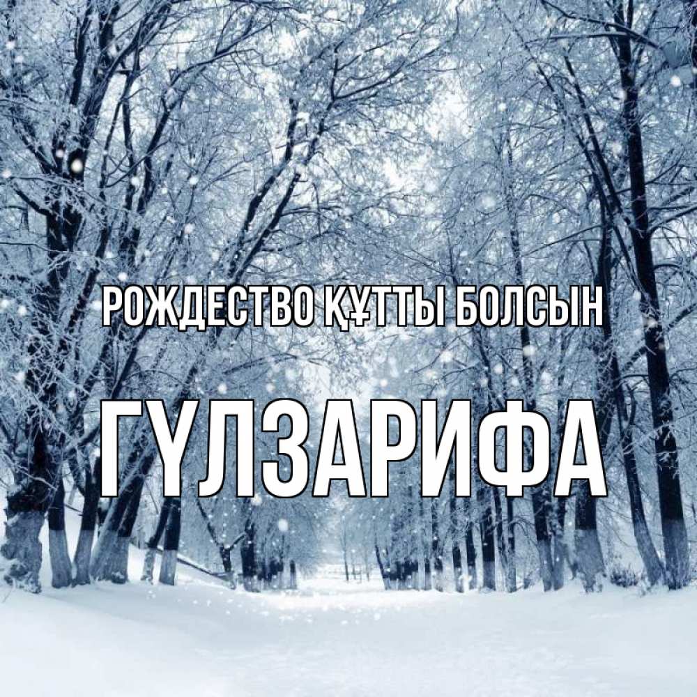 Күн сайын ашық хат с именем, ГҮЛЗАРИФА Рождество құтты болсын снег, лес, парк Онлайн тегін жүктеп алу тілектері бар керемет карта 