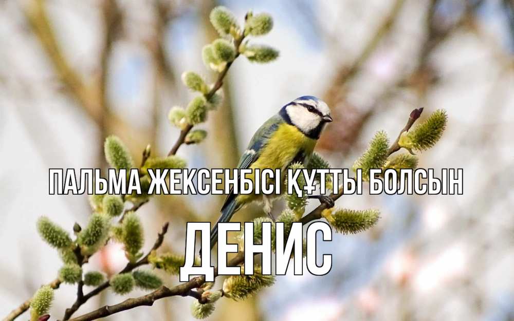Күн сайын ашық хат с именем, Денис Пальма жексенбісі құтты болсын верба Онлайн тегін жүктеп алу тілектері бар керемет карта 
