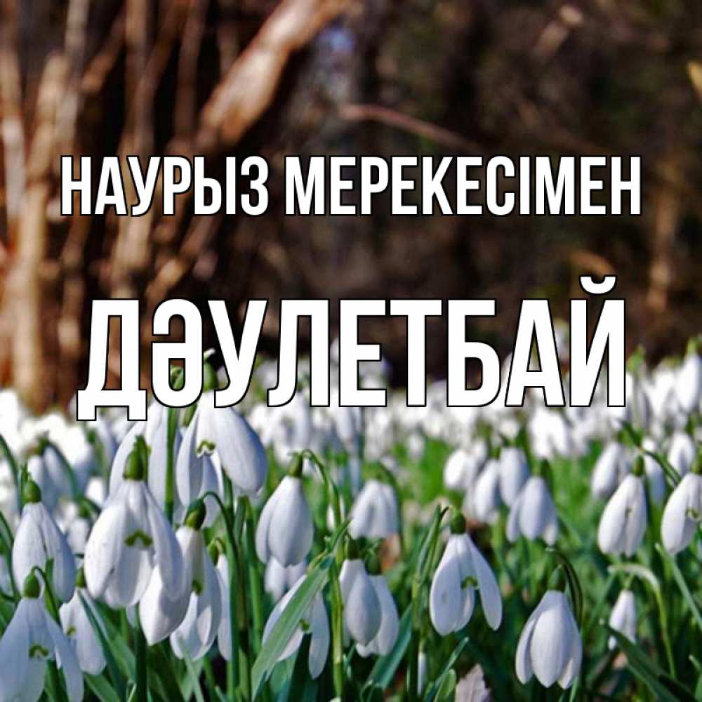 Күн сайын ашық хат с именем, Дәулетбай Наурыз мерекесімен с подснежниками 1 Онлайн тегін жүктеп алу тілектері бар керемет карта 