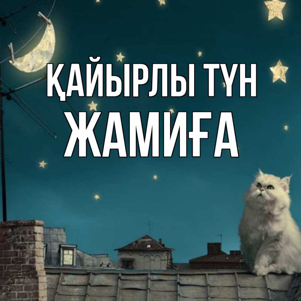 Күн сайын ашық хат с именем, ЖАМИҒА Қайырлы түн белый кот сидит на крыше Онлайн тегін жүктеп алу тілектері бар керемет карта 
