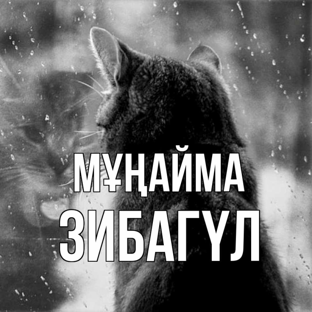 Күн сайын ашық хат с именем, ЗИБАГҮЛ Мұңайма отражение кота 1 Онлайн тегін жүктеп алу тілектері бар керемет карта 