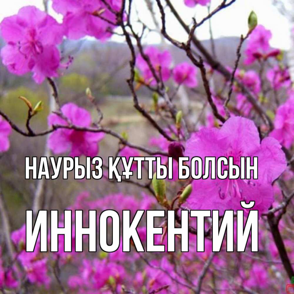Күн сайын ашық хат с именем, Иннокентий Наурыз құтты болсын наурыз мейрамы кутты болсын Онлайн тегін жүктеп алу тілектері бар керемет карта 