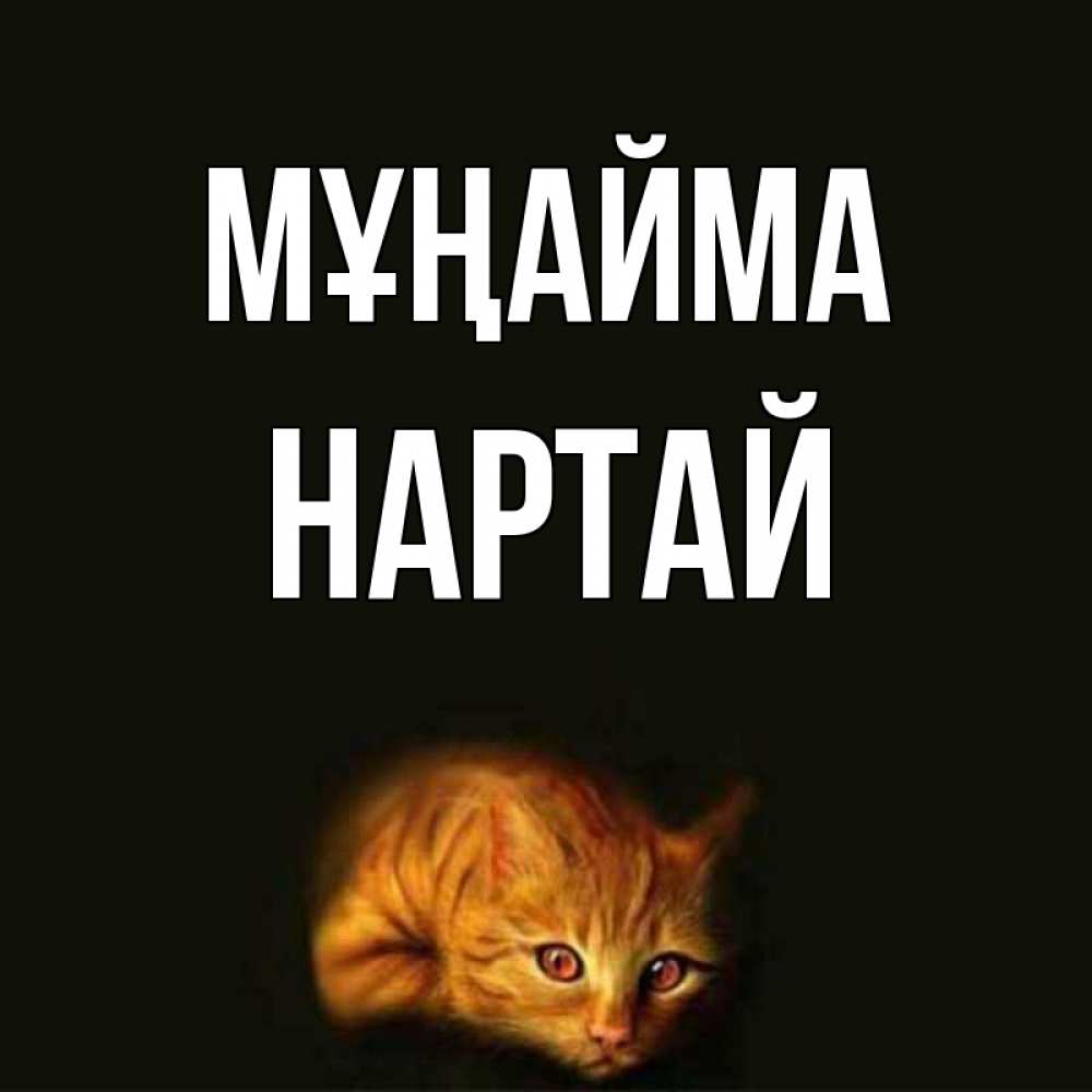 Күн сайын ашық хат с именем, Нартай Мұңайма лежащий кот в темноте Онлайн тегін жүктеп алу тілектері бар керемет карта 