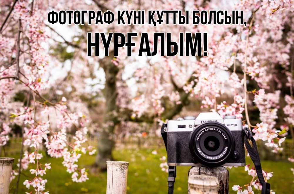 Күн сайын ашық хат с именем, НҮРҒАЛЫМ Фотограф күні құтты болсын сирень с днем фотографа, фотоаппарат Онлайн тегін жүктеп алу тілектері бар керемет карта 