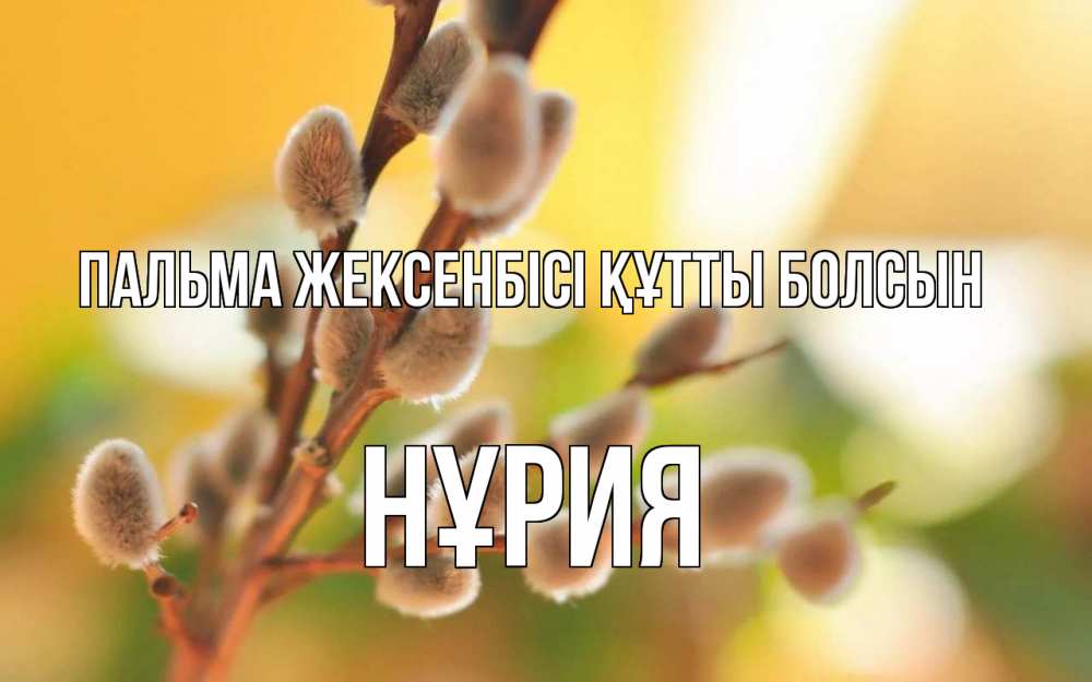 Күн сайын ашық хат с именем, НҰРИЯ Пальма жексенбісі құтты болсын верба Онлайн тегін жүктеп алу тілектері бар керемет карта 