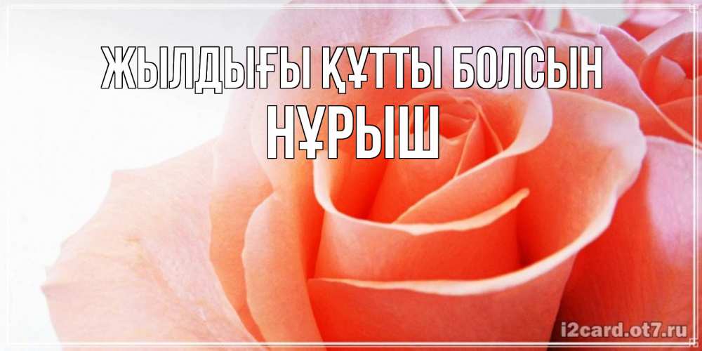 Күн сайын ашық хат с именем, Нұрыш Жылдығы құтты болсын розы для поздравления с днем рождения Онлайн тегін жүктеп алу тілектері бар керемет карта 