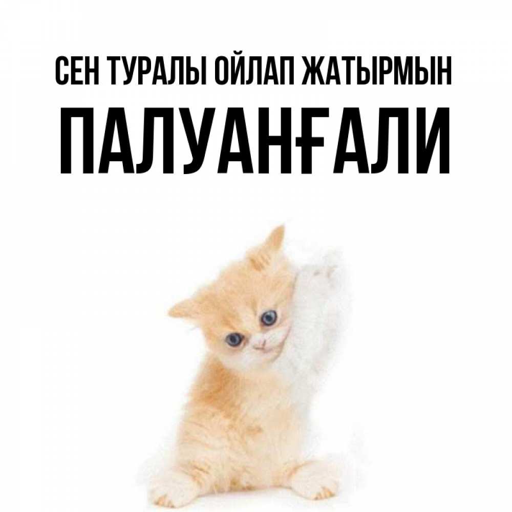 Күн сайын ашық хат с именем, ПАЛУАНҒАЛИ Сен туралы ойлап жатырмын зверушки и милота Онлайн тегін жүктеп алу тілектері бар керемет карта 