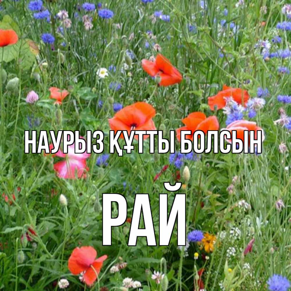 Күн сайын ашық хат с именем, РАЙ Наурыз құтты болсын наурыз  4 Онлайн тегін жүктеп алу тілектері бар керемет карта 