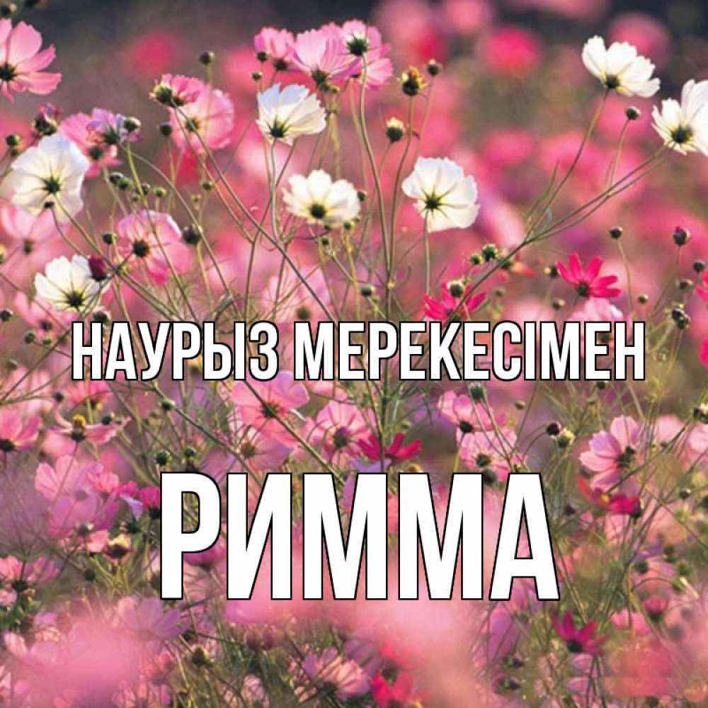Күн сайын ашық хат с именем, Римма Наурыз мерекесімен красиво 1 Онлайн тегін жүктеп алу тілектері бар керемет карта 