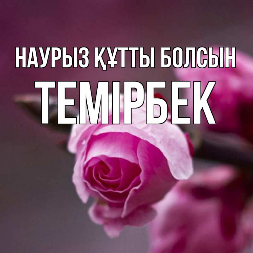Күн сайын ашық хат с именем, ТЕМІРБЕК Наурыз құтты болсын весна Онлайн тегін жүктеп алу тілектері бар керемет карта 