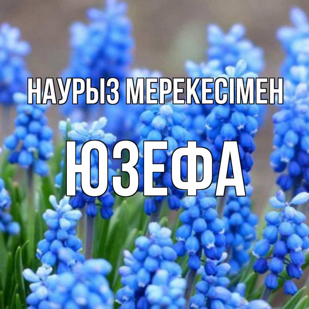 Күн сайын ашық хат с именем, Юзефа Наурыз мерекесімен Поздравительная открытка для женщин с цветами на праздничную дату Онлайн тегін жүктеп алу тілектері бар керемет карта 