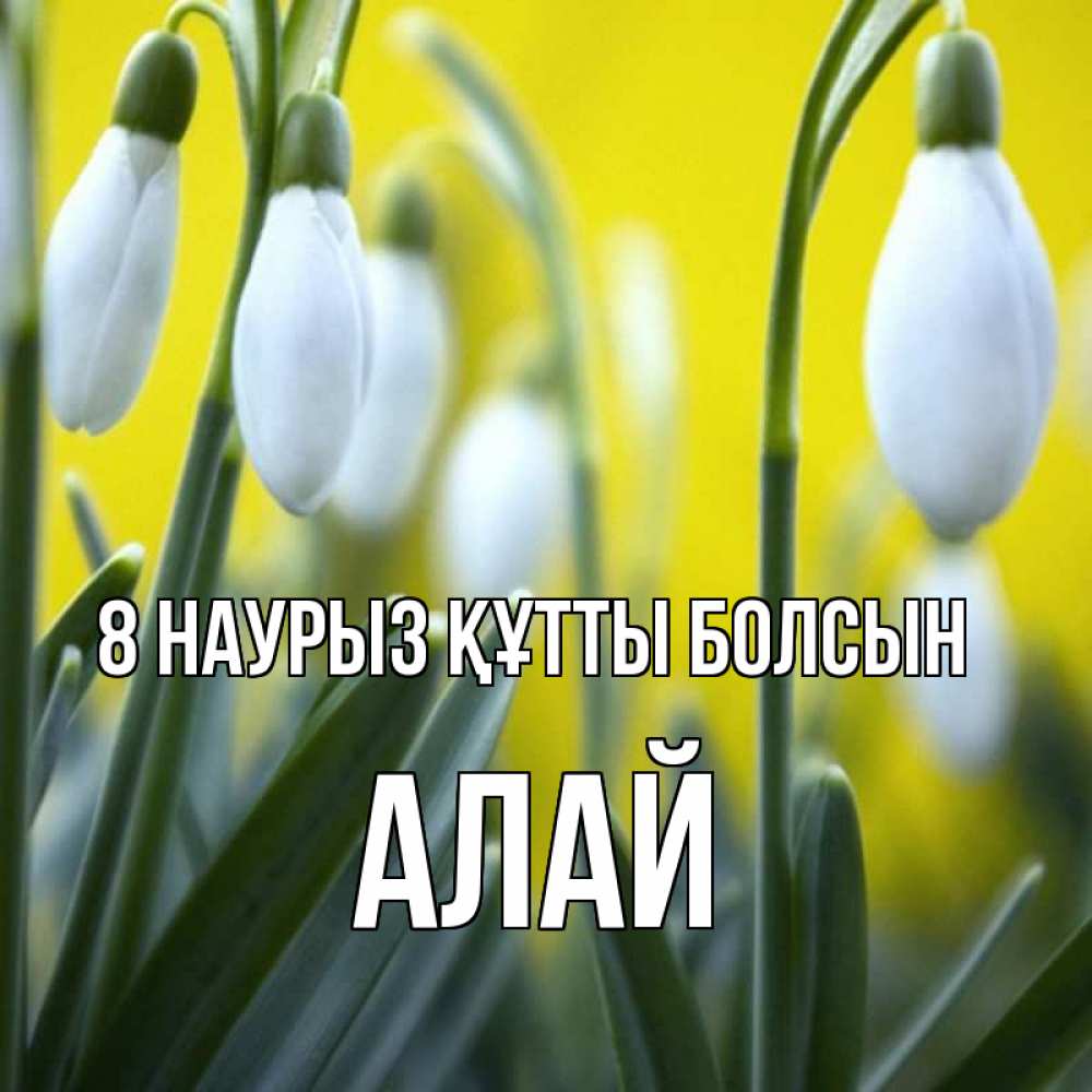 Күн сайын ашық хат с именем, Алай 8 наурыз құтты болсын весенние цветы Онлайн тегін жүктеп алу тілектері бар керемет карта 