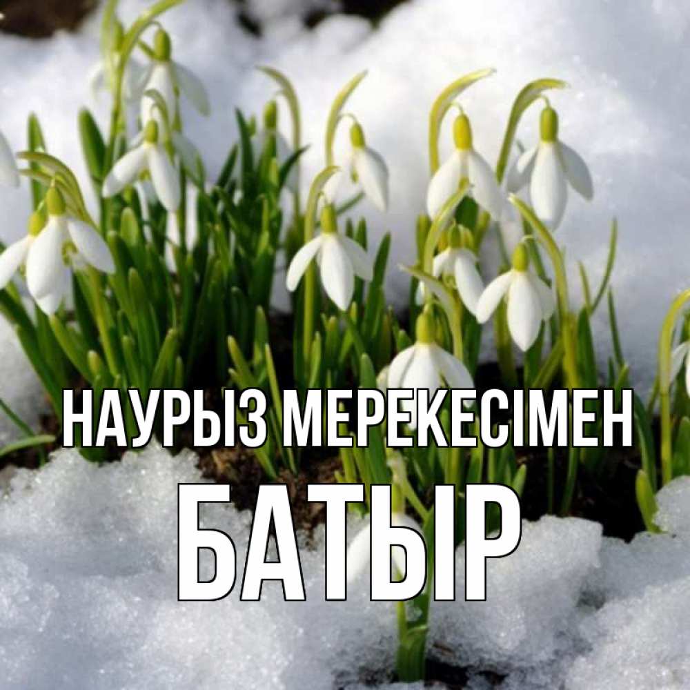 Күн сайын ашық хат с именем, Батыр Наурыз мерекесімен цветы весенние Онлайн тегін жүктеп алу тілектері бар керемет карта 