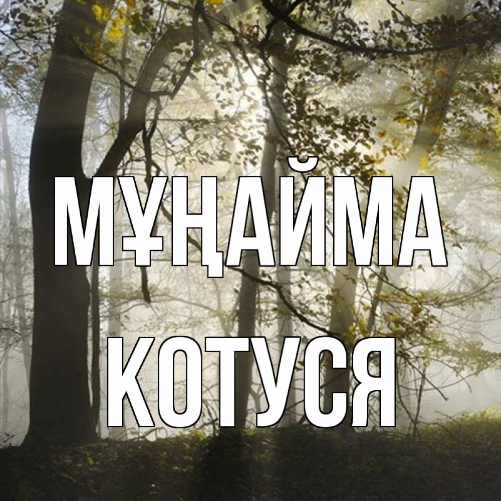Күн сайын ашық хат с именем, Котуся Мұңайма лес и свет Онлайн тегін жүктеп алу тілектері бар керемет карта 