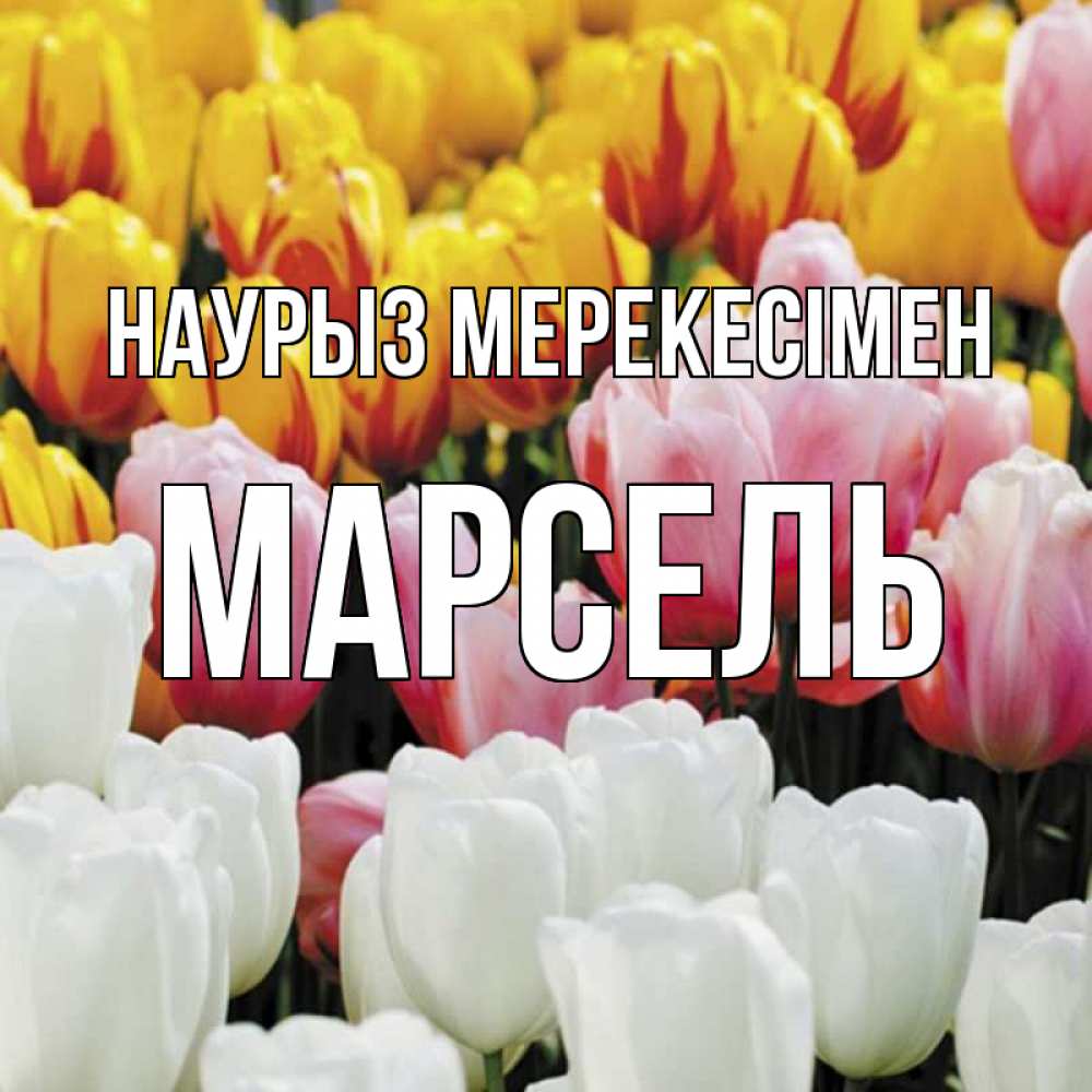 Күн сайын ашық хат с именем, Марсель Наурыз мерекесімен разноцветные цветы Онлайн тегін жүктеп алу тілектері бар керемет карта 