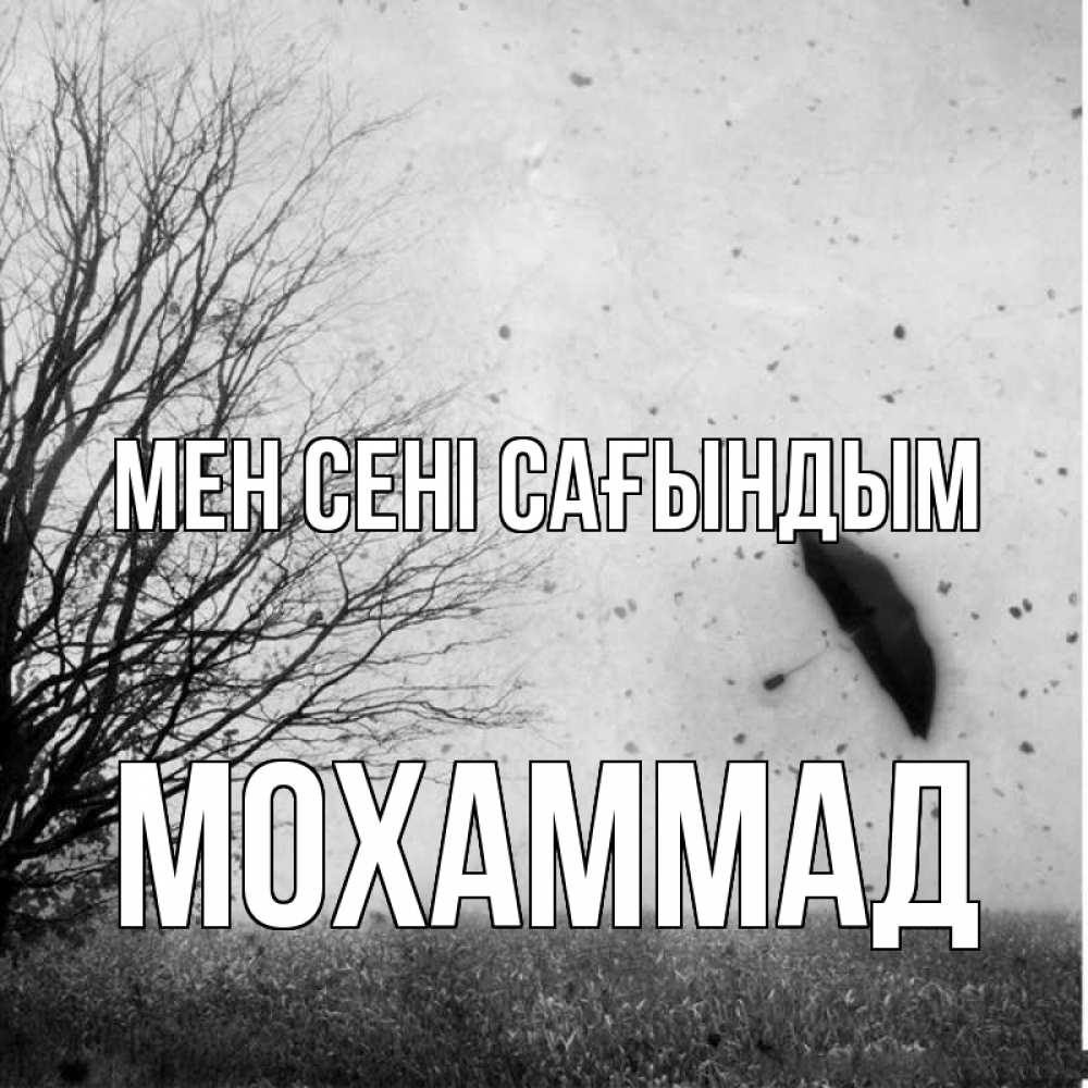 Күн сайын ашық хат с именем, Мохаммад Мен сені сағындым зонт летит Онлайн тегін жүктеп алу тілектері бар керемет карта 