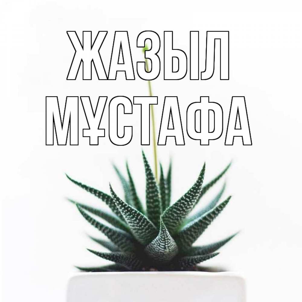 Күн сайын ашық хат с именем, МҰСТАФА Жазыл короче это непонятная колючка Онлайн тегін жүктеп алу тілектері бар керемет карта 