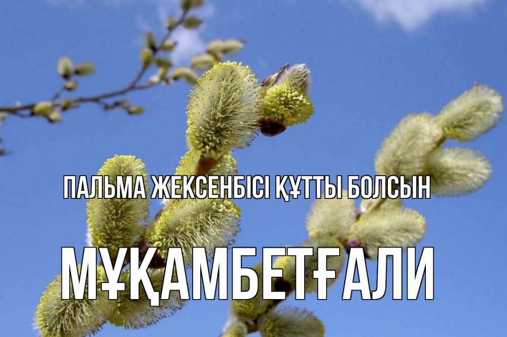 Күн сайын ашық хат с именем, Мұқамбетғали Пальма жексенбісі құтты болсын верба Онлайн тегін жүктеп алу тілектері бар керемет карта 