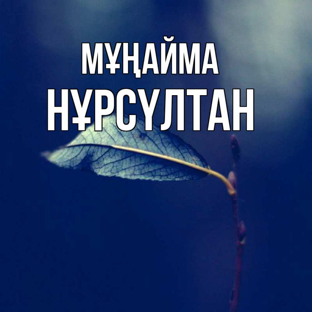 Күн сайын ашық хат с именем, НҰРСҮЛТАН Мұңайма растение Онлайн тегін жүктеп алу тілектері бар керемет карта 