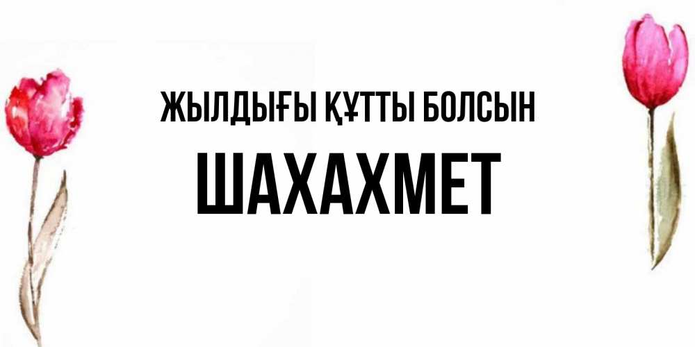 Күн сайын ашық хат с именем, ШАХАХМЕТ Жылдығы құтты болсын открытки акварелью с цветами Онлайн тегін жүктеп алу тілектері бар керемет карта 