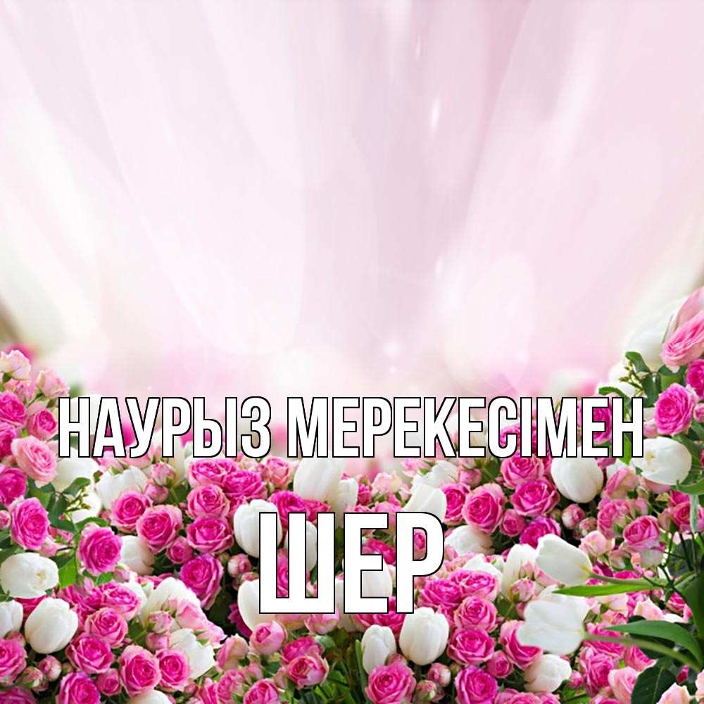 Күн сайын ашық хат с именем, ШЕР Наурыз мерекесімен под снегом Онлайн тегін жүктеп алу тілектері бар керемет карта 