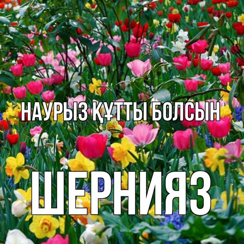 Күн сайын ашық хат с именем, ШЕРНИЯЗ Наурыз құтты болсын с наурызом поздравления для женщины Онлайн тегін жүктеп алу тілектері бар керемет карта 