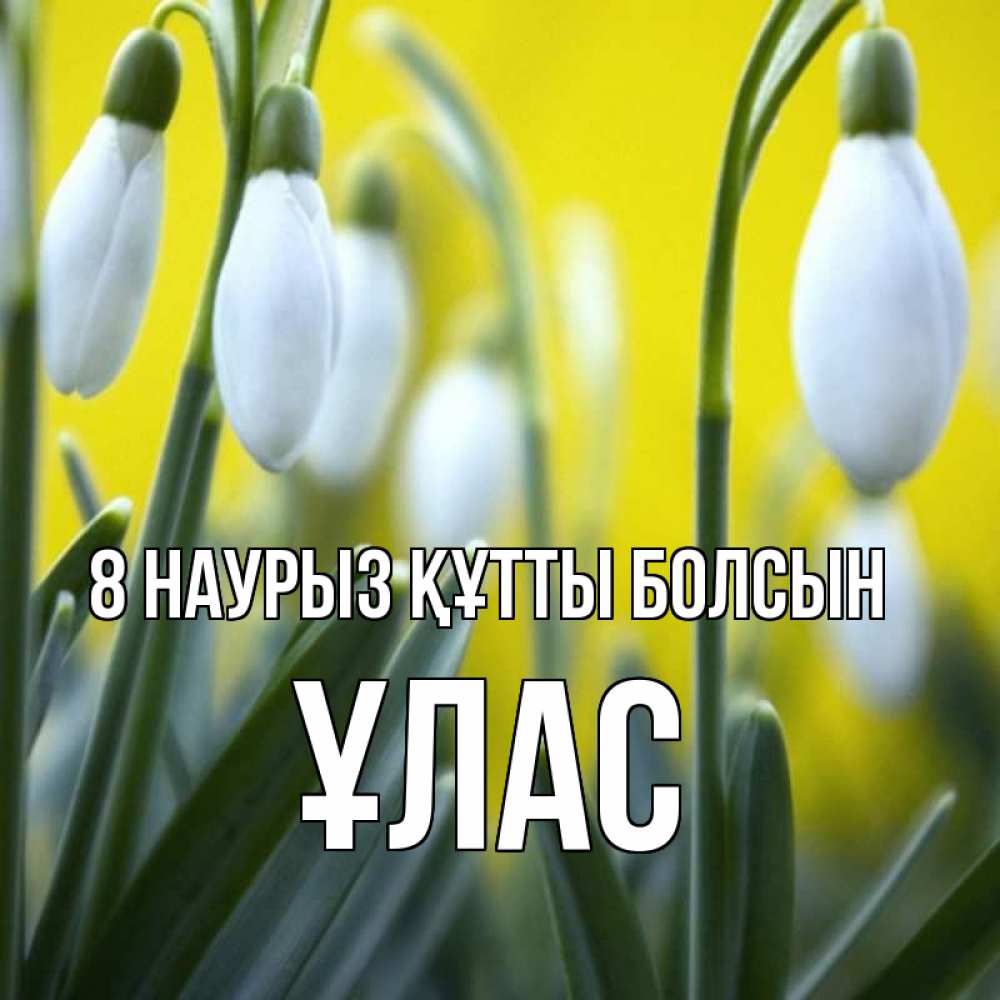 Күн сайын ашық хат с именем, ҰЛАС 8 наурыз құтты болсын весенние цветы Онлайн тегін жүктеп алу тілектері бар керемет карта 