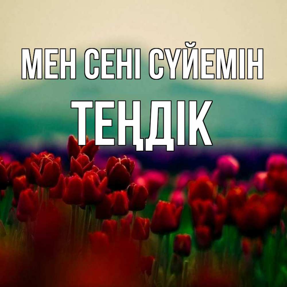 Күн сайын ашық хат с именем, ТЕҢДІК Мен сені сүйемін тюльпаны 4 Онлайн тегін жүктеп алу тілектері бар керемет карта 