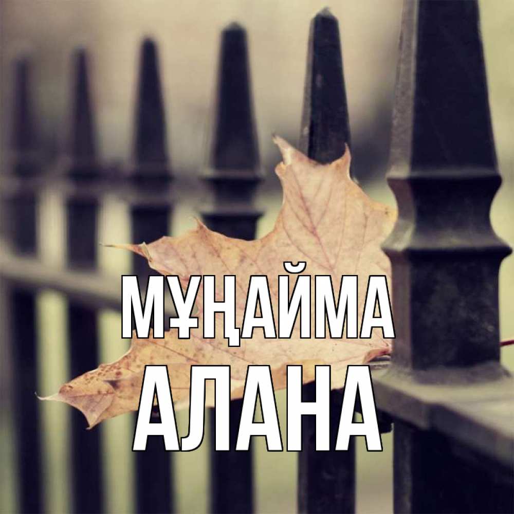 Күн сайын ашық хат с именем, Алана Мұңайма лист клена Онлайн тегін жүктеп алу тілектері бар керемет карта 