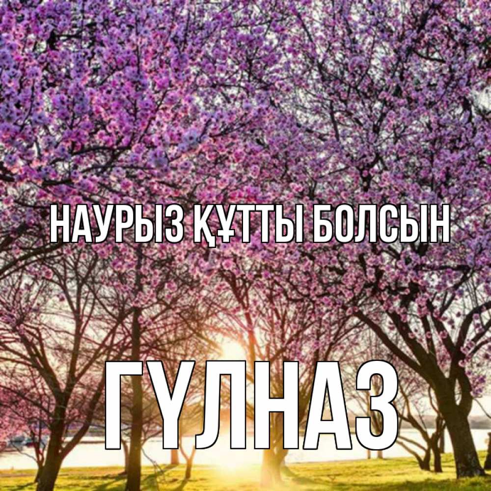 Күн сайын ашық хат с именем, ГҮЛНАЗ Наурыз құтты болсын наурыз Онлайн тегін жүктеп алу тілектері бар керемет карта 