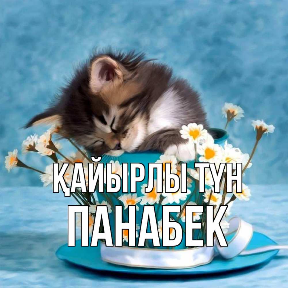 Күн сайын ашық хат с именем, ПАНАБЕК Қайырлы түн котенок спит в кружке с блюдцем Онлайн тегін жүктеп алу тілектері бар керемет карта 