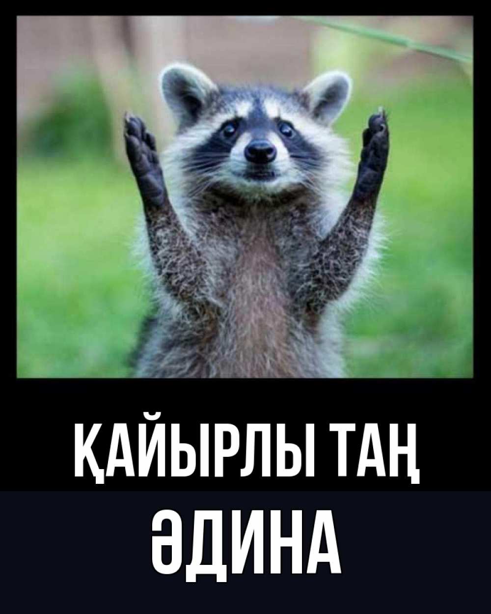 Күн сайын ашық хат с именем, ӘДИНА Қайырлы таң хорошее настроение утречком Онлайн тегін жүктеп алу тілектері бар керемет карта 