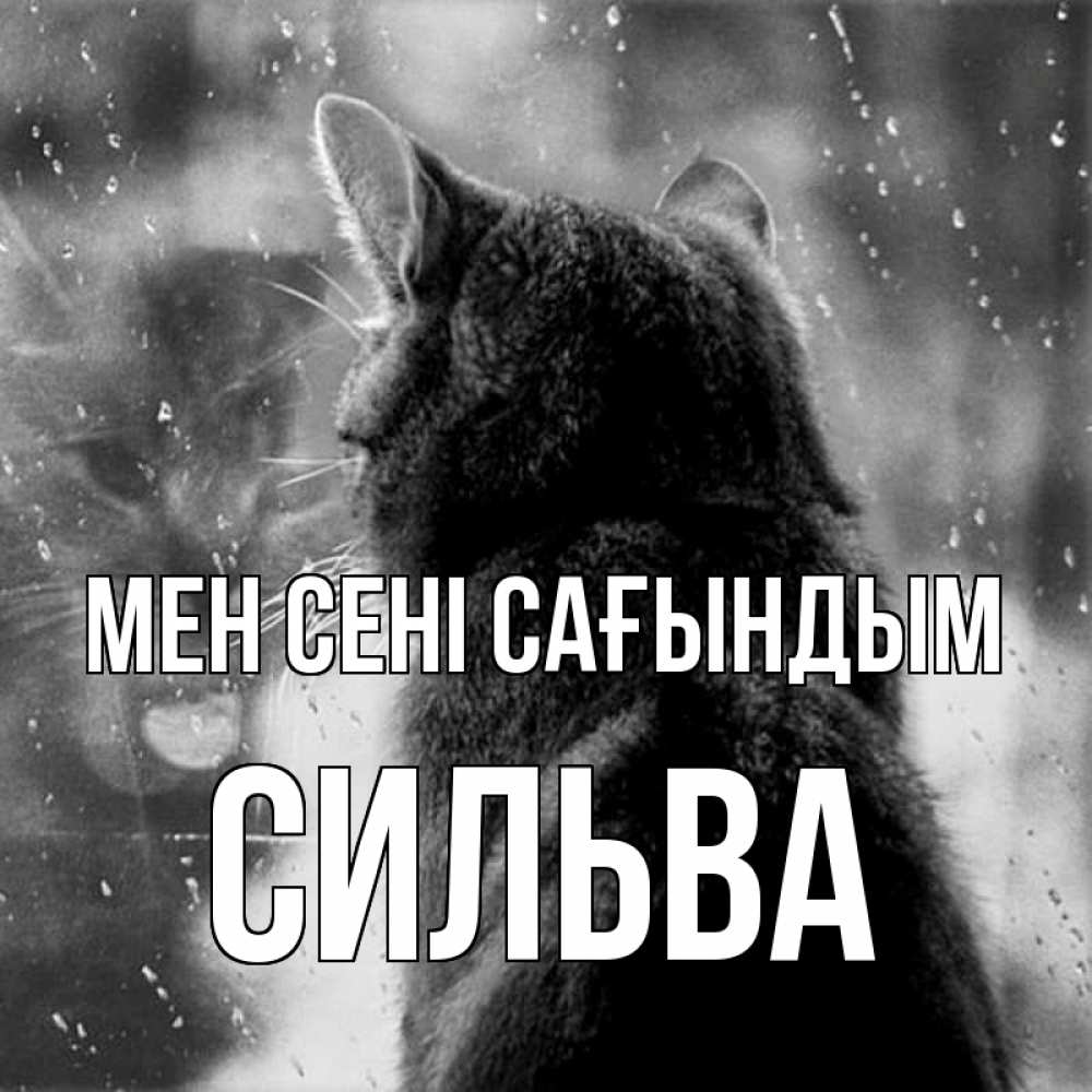 Күн сайын ашық хат с именем, Сильва Мен сені сағындым скорее ко мне приходи 1 Онлайн тегін жүктеп алу тілектері бар керемет карта 