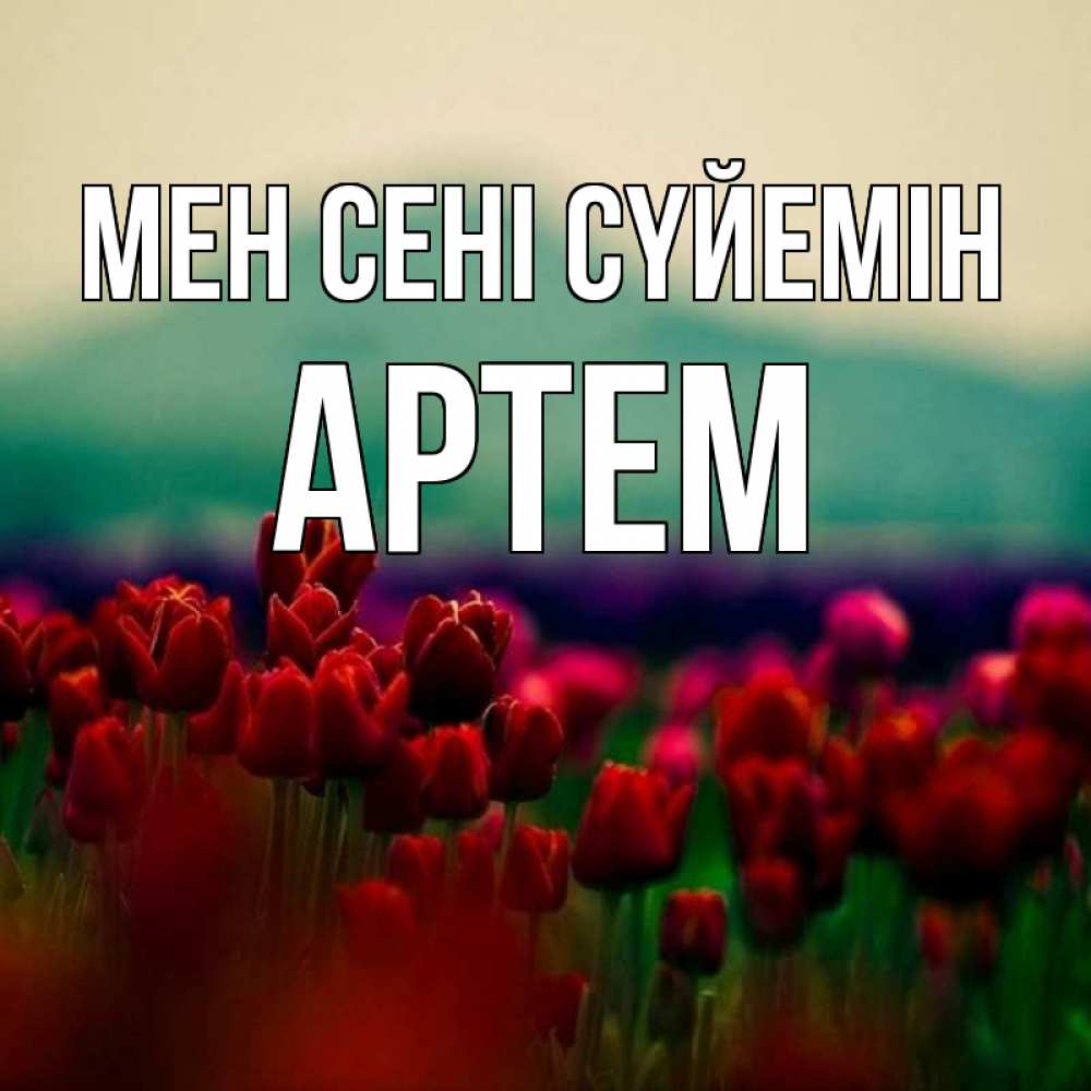 Күн сайын ашық хат с именем, Артем Мен сені сүйемін тюльпаны 4 Онлайн тегін жүктеп алу тілектері бар керемет карта 