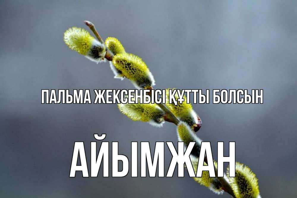 Күн сайын ашық хат с именем, АЙЫМЖАН Пальма жексенбісі құтты болсын верба Онлайн тегін жүктеп алу тілектері бар керемет карта 